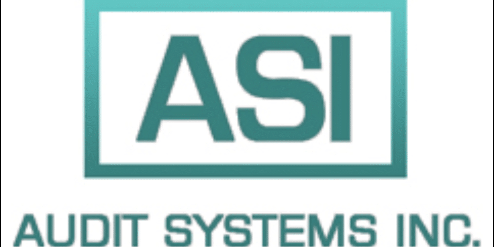 Audit Systems